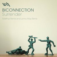 BICONNECTION
