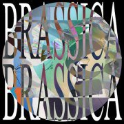 BRASSICA