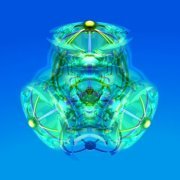 CALICOLEAF