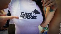 CATZ 'N DOGZ