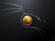 DEBIAN