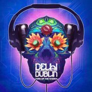 DELHI 2 DUBLIN