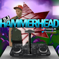 HAMMERHEAD