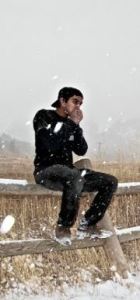 HOLLIDAYRAIN