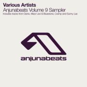 ILAN BLUESTONE