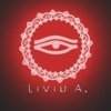 LIVIU A.