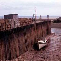 LOW TIDE