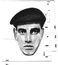 MEAT BEAT MANIFESTO