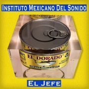 MEXICAN INSTITUTE OF SOUND