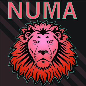 NUMASTEP