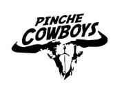PINCHE COWBOYS