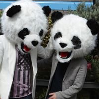 PINK PANDA