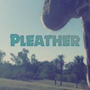 PLEATHER