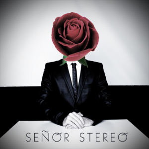 SENOR STEREO