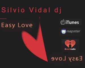SILVIO VIDAL