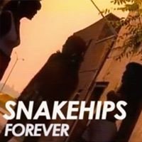 SNAKEHIPS