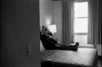 SPARKLEHORSE