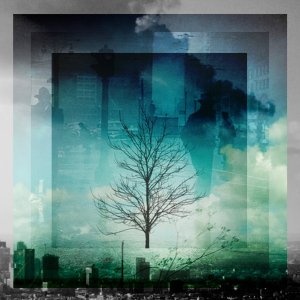 STRAY THEORIES