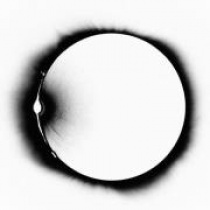 SWEDISH HOUSE MAFIA