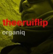 THEERUIFLIP
