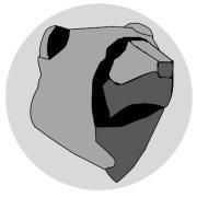 THERMALBEAR