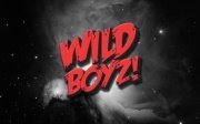 THE WILD BOYZ