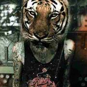 TIGERFRESH