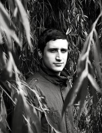 TOM DICICCO