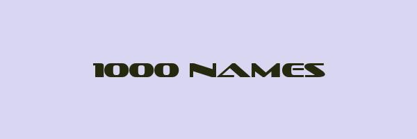 1000 NAMES Logo