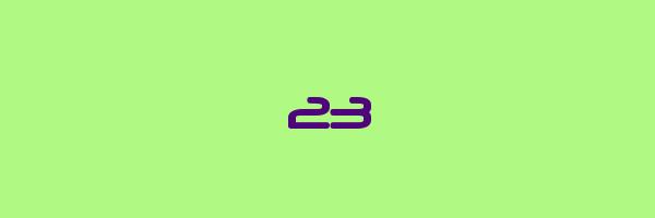 23 Logo
