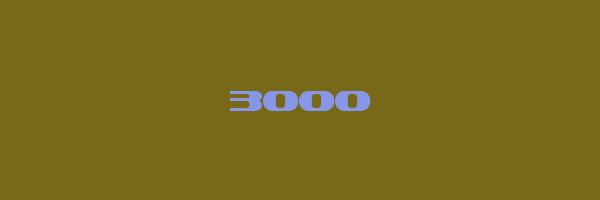 3000 Logo