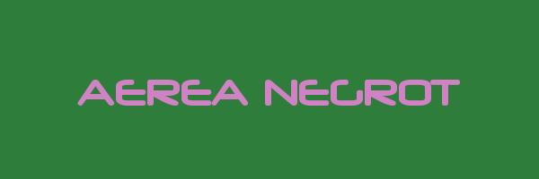 AEREA NEGROT Logo