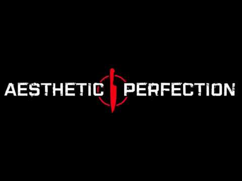 AESTHETIC PERFECTION Logo