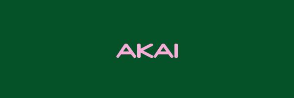 AKAI Logo