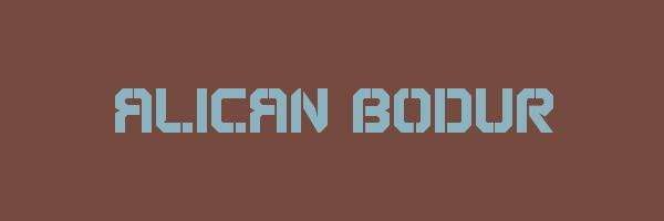 ALICAN BODUR Logo