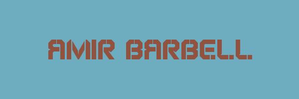 AMIR BARBELL Logo