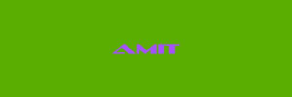 AMIT Logo