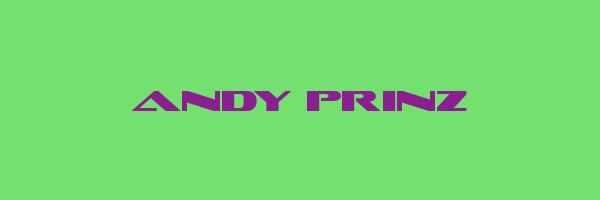 ANDY PRINZ Logo