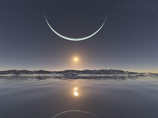 ARCTIC MOON Logo