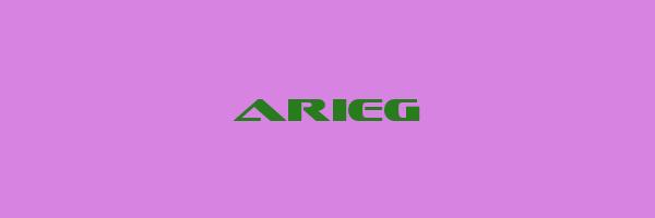 ARIEG Logo