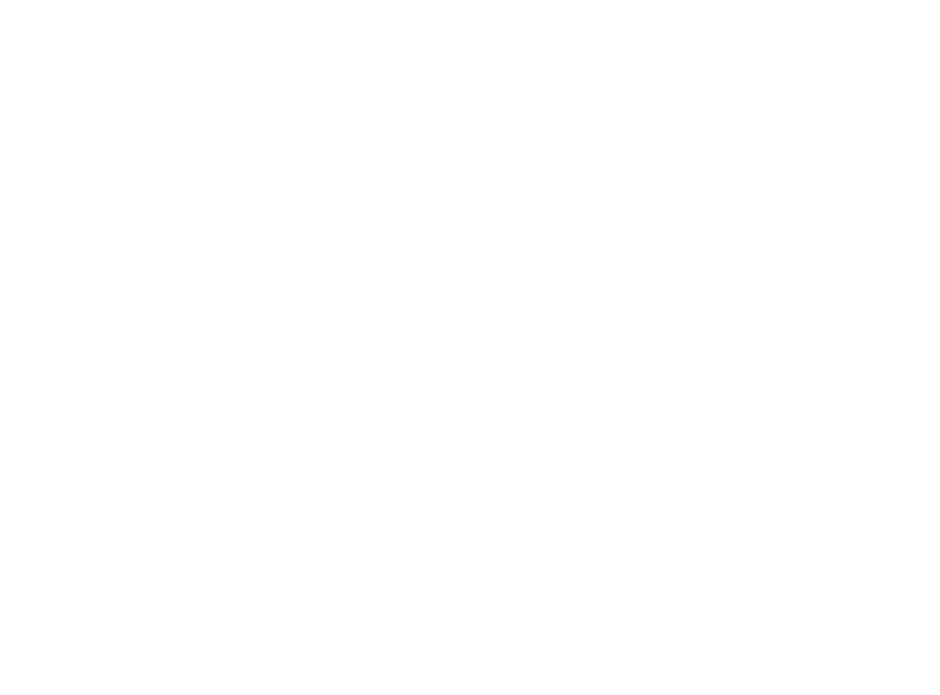 ASI VIDAL Logo