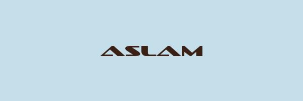 ASLAM Logo