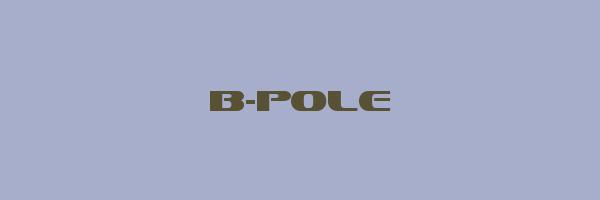 B-POLE Logo