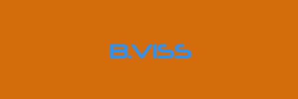 B.VISS Logo