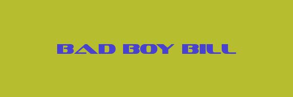 BAD BOY BILL Logo