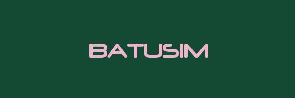 BATUSIM Logo
