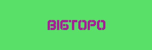BIGTOPO Logo
