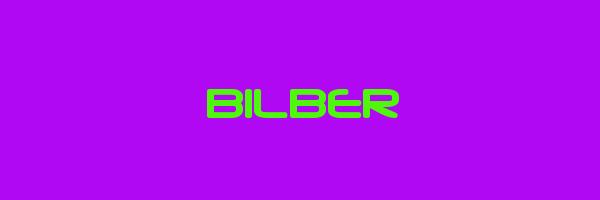 BILBER Logo