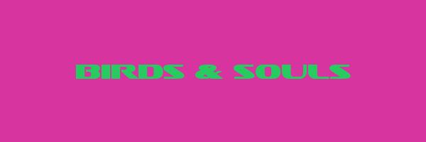 BIRDS & SOULS Logo