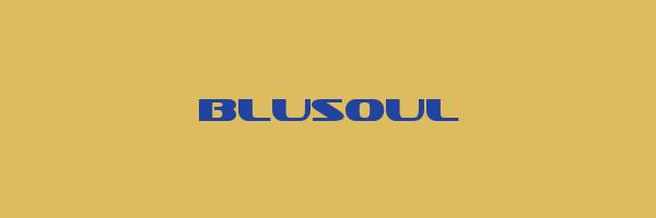 BLUSOUL Logo